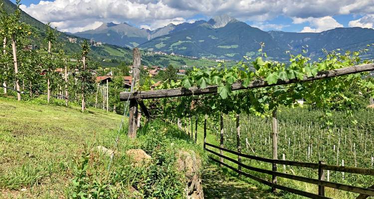 Tyrol du Sud pour les familles De Reschen à Merano pour toutes les pointures - Eurohike 6