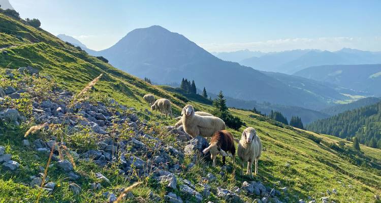 Ten Lakes Trekking Tour - Eurohike 6
