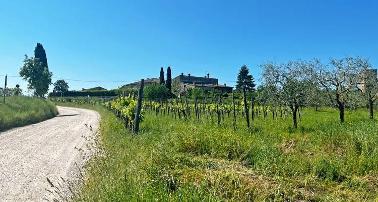 La Toscane pittoresque - Eurohike 10