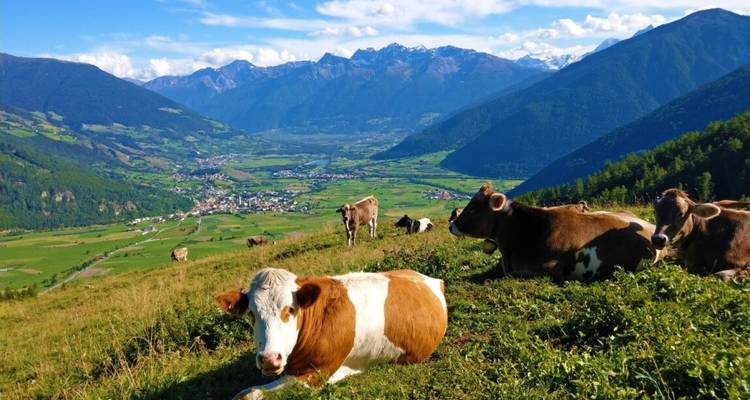 Randonnée panoramique dans le Val Venosta - Eurohike 1