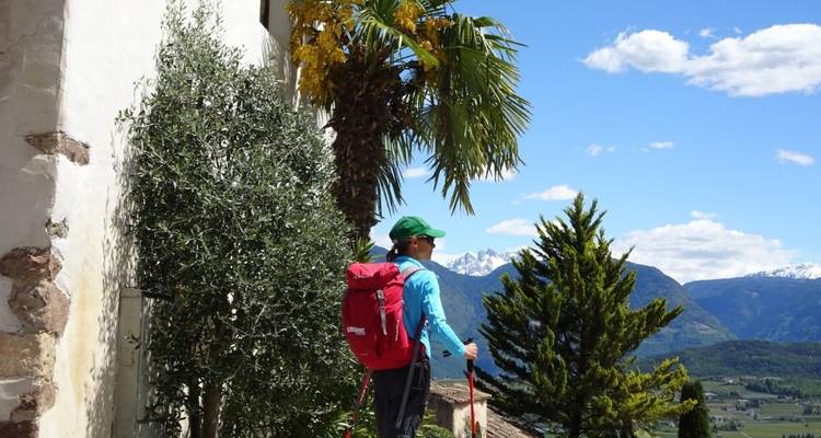 Tirol del sur para familias - Eurohike 3