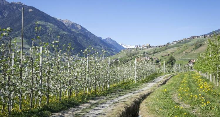 Tirol del sur para familias - Eurohike 9