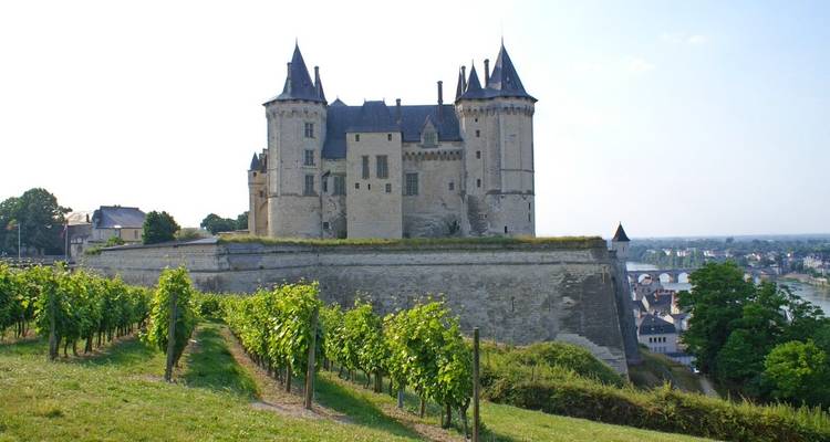 Loire Cycle Path: Wild-romantic all the way to the sea  (from Tours to St-Nazaire) - Eurobike 3