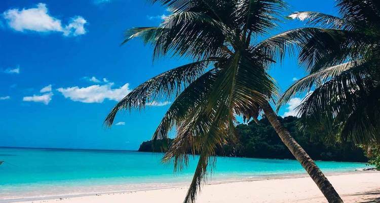 Immersion dans le somptueux archipel de Nosy Be pendant 3 jours - Green Island Discovery 6