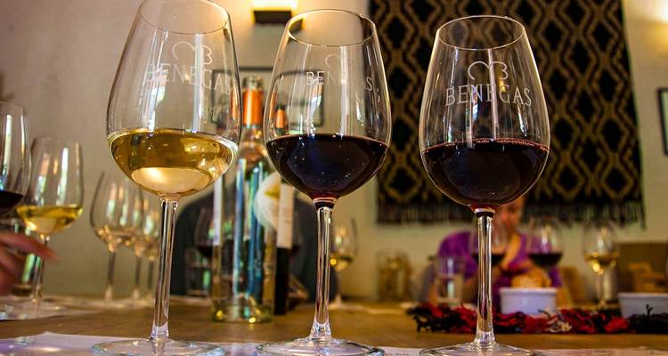 Tailor-Made Argentina Wine Tour with Iguazu Falls, Daily Departure - Agate Travel 4