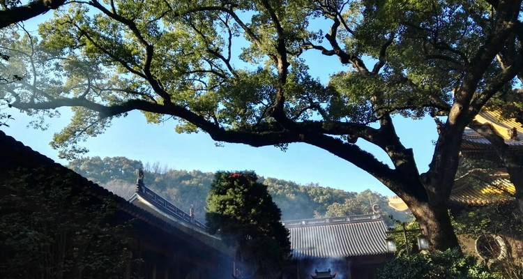 5 días explora Zhejiang este: Hangzhou, Shaoxing, Ningbo - Silk Road Trips 7