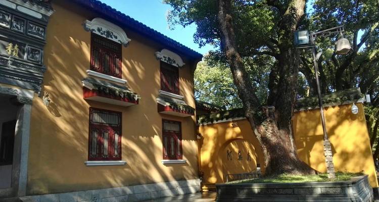 5 días explora Zhejiang este: Hangzhou, Shaoxing, Ningbo - Silk Road Trips 8
