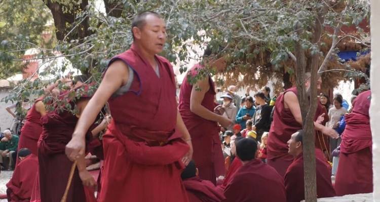 5-Day Classic Lhasa Tour: Potala Palace, Jokhang Temple, Drepung, Sera Monastery, Norbulinka, Yamdrok Lake - Silk Road Trips 4