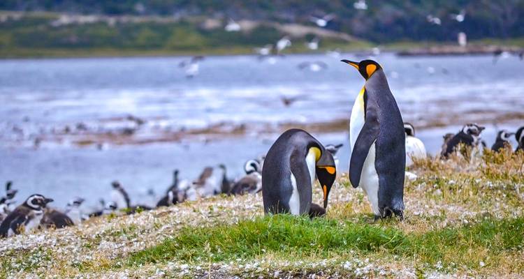 Tailor-Made Argentina Family Adventure, Daily Start and Private Car - Agate Travel 3