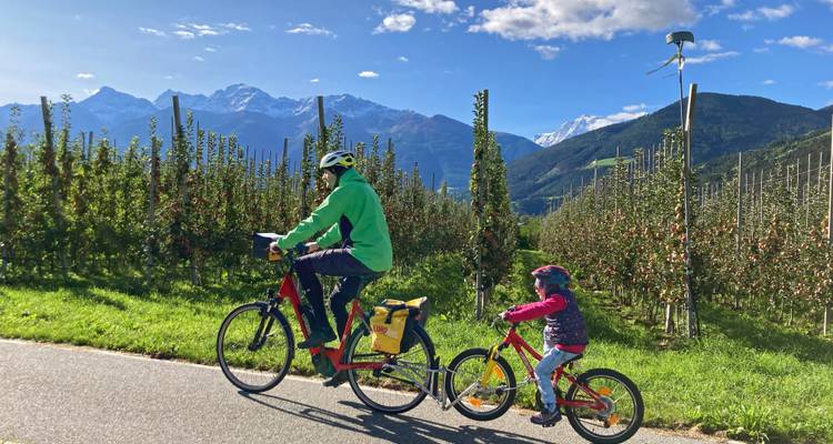 Ouder en kind rijden met de fiets door appeltuinen met besneeuwde bergen op de achtergrond.