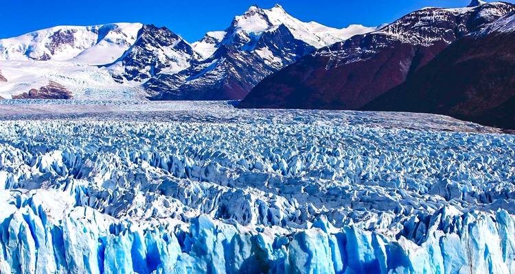 Tailor-Made 19-Day Patagonia Wildlife Tour with Daily Departure and Private Guide - Agate Travel 7