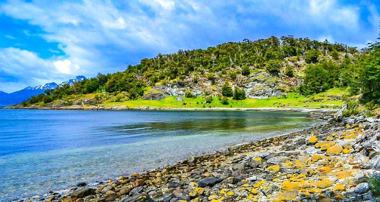 Tailor-Made 19-Day Patagonia Wildlife Tour with Daily Departure and Private Guide - Agate Travel 4