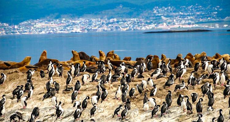 Tailor-Made 19-Day Patagonia Wildlife Tour with Daily Departure and Private Guide - Agate Travel 1