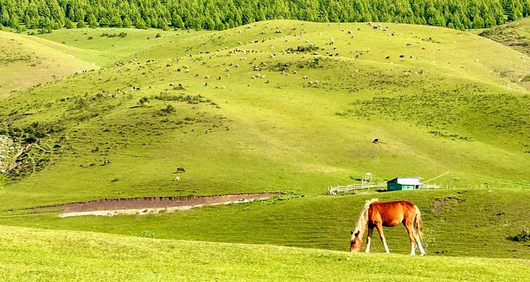 Customized Kyrgyzstan Adventure with Private Guide & Daily Departure - Agate Travel 2