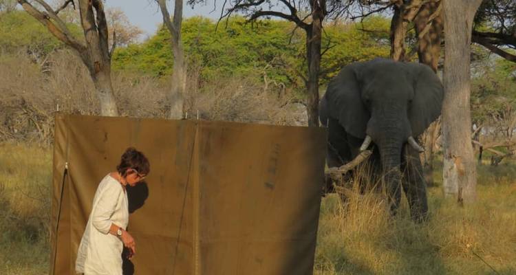 Safari dans le parc national de Makgadikgadi Pan, Maun et Nxai Pan : Unissez vos forces avec le côté sauvage du Botswana - 8 jours - Little Roz Tours 4