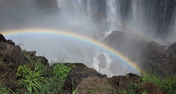 Safari dans le parc national de Makgadikgadi Pan, Maun et Nxai Pan : Unissez vos forces avec le côté sauvage du Botswana - 8 jours - Little Roz Tours 7