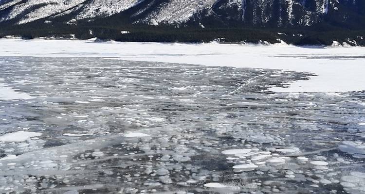 Circuit hivernal amusant dans les Rocheuses - 4 jours - Calgary Tours 6