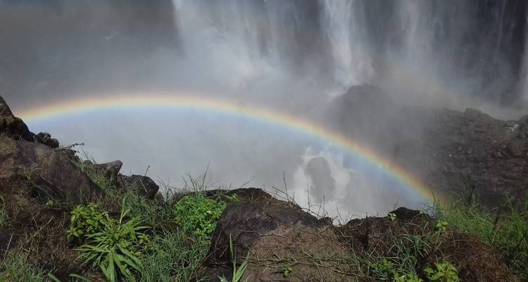 8 jours d'itinéraire de visite de la nature au Botswana et au Zimbabwe : à la rencontre du gibier zimbabwéen. - Little Roz Tours 1