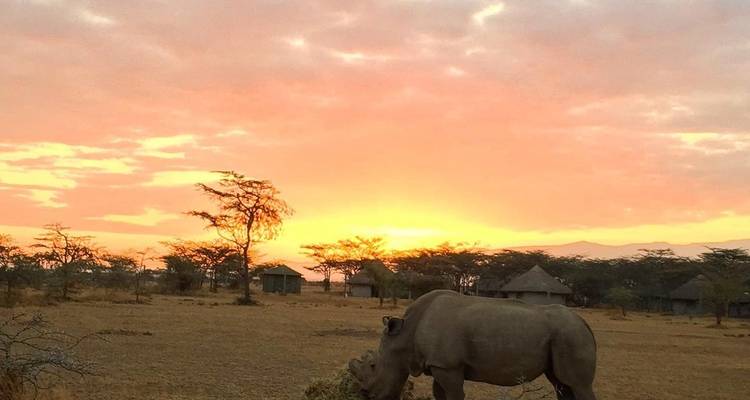 3-Day Taste of Masai Mara Safari - Little Roz Tours 5