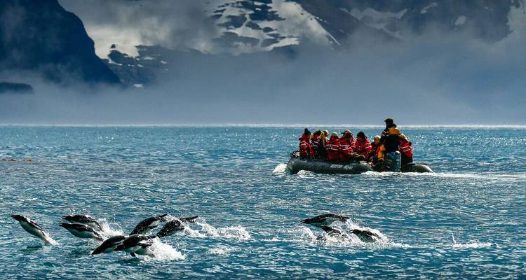 Voyage vers le cercle antarctique - Intrepid Travel 10