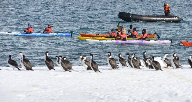 Best of Antarctica In Depth - Intrepid Travel 9
