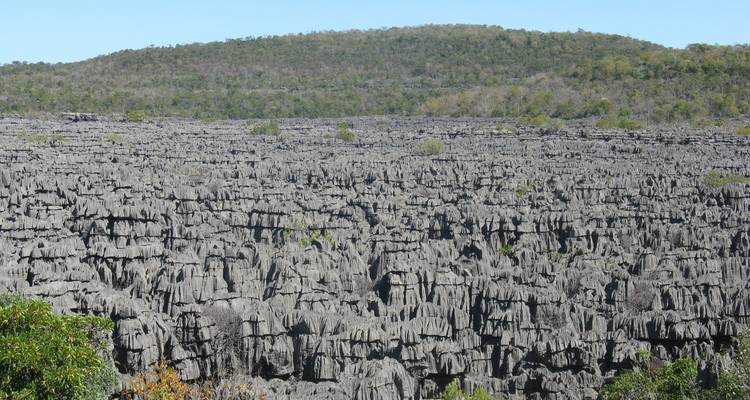 Uitgestrekt veld van scherpe rotsformaties onder een blauwe hemel.