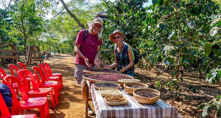 Vacaciones privadas a medida en el sur de Laos, con salida diaria y sin grupo - Agate Travel 1