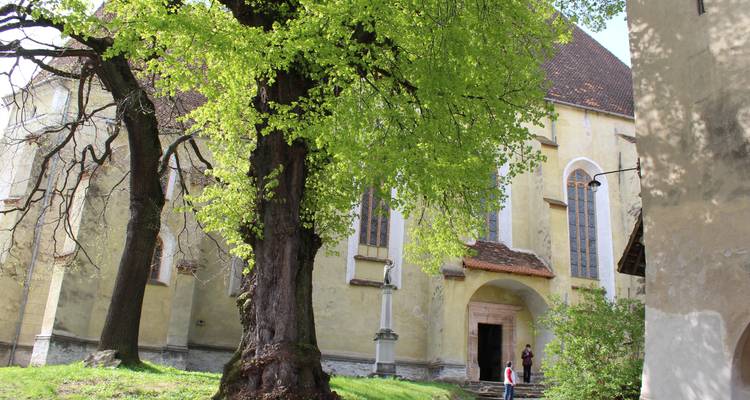 Self Guided Bike Tour in Transylvania - 10 Days - Carpathian Travel Center 6