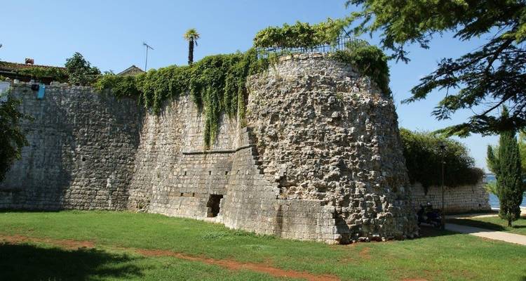 Forteresse de pierre avec végétation envahissante