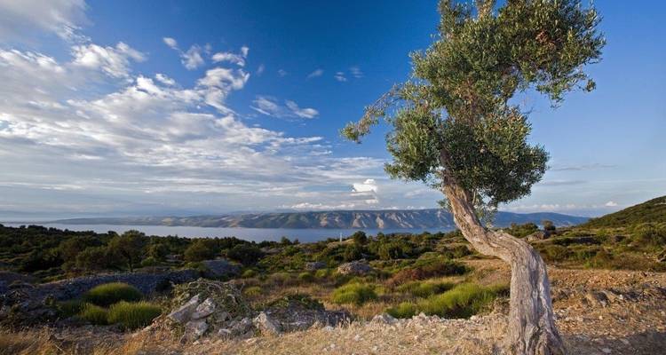 Le meilleur de la Croatie, 11 jours, auto-croisière - Gulliver Travel 8
