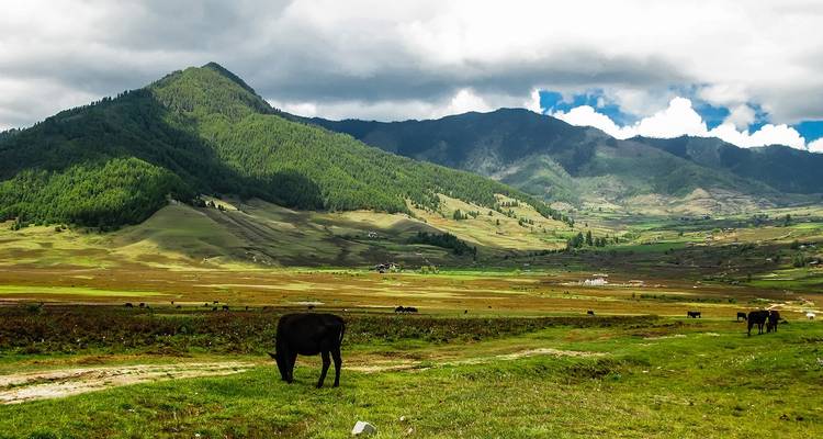 Tailor-Made Bhutan Trekking Adventure with Daily Departure & Private Guide - Agate Travel 4