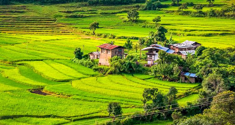 Agrarisch landschap met rijstvelden en kleine gebouwen.