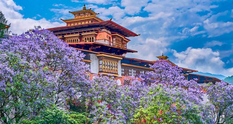 Punakha Dzong con árboles de jacarandá púrpura en flor.