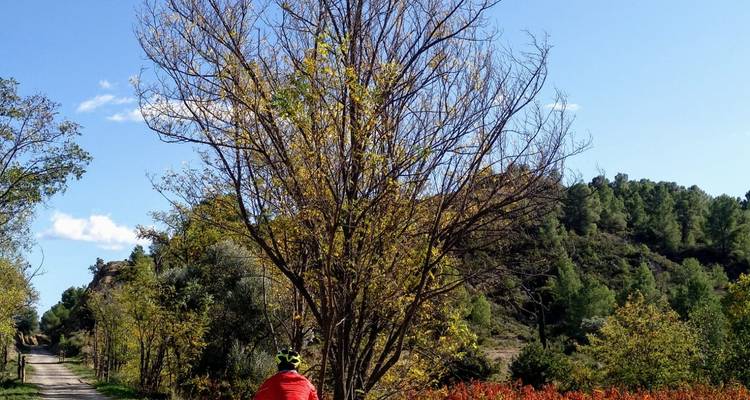 Ojos Negros Spain’s longest greenway in 4 stages - Mediterranean Bike Tours 6