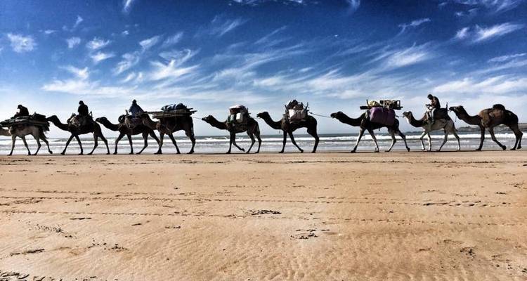 Highlights of Morocco from Tangier to Casablanca (10 Days) - Morocco Custom Tours 2