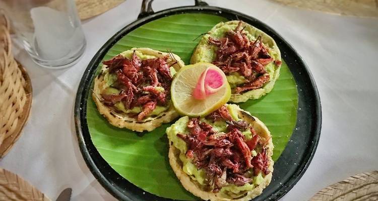 Oaxaca Food Tour: A Truly Feast From Monte Alban to Huatulco Dishes - Vibe Adventures 3