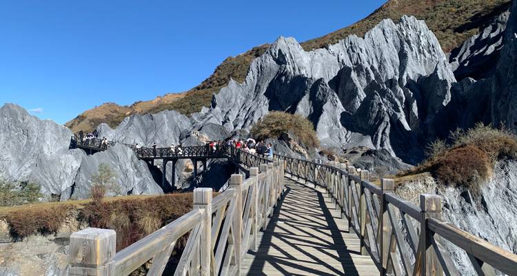 Ein hölzerner Gehweg durch einzigartige graue Felsformationen mit Touristen.