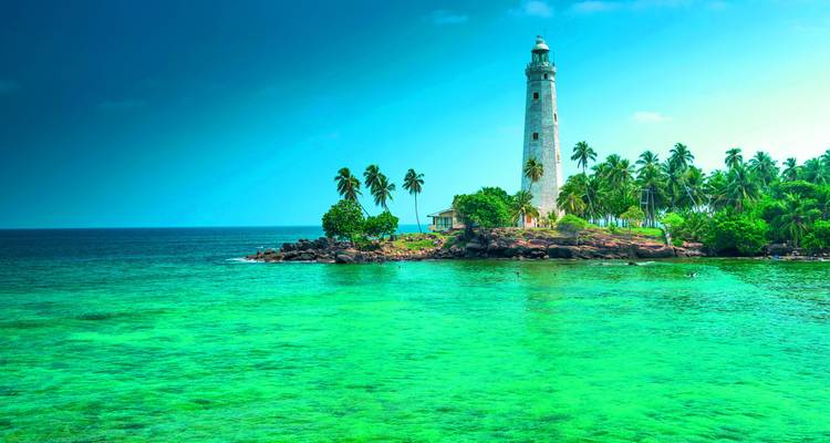 Een vuurtoren omringd door palmbomen op een klein eiland.