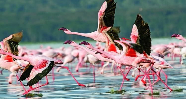 Tanzania & Kenya: Highlights with Zanzibar - SKR Reisen 1