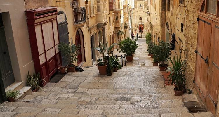 Narrow stone-paved street with potted plants in a historic town.