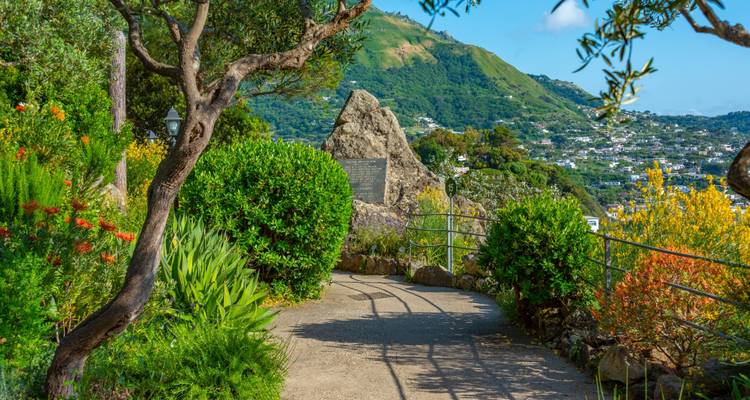 Bladrijke tuinpad slingert langs bloeiende struiken naar panoramische uitzichten op een groene eiland heuvelflank.