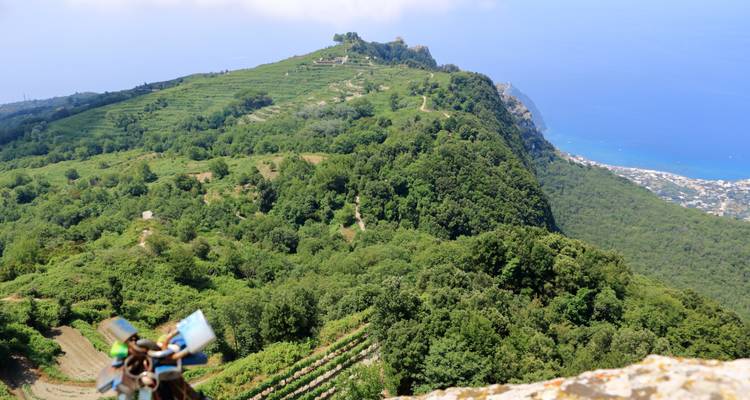 Weids uitzicht vanaf een bergkam over weelderige groene beboste hellingen naar de blauwe Middellandse Zee beneden.
