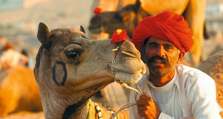 Inde : les hauts lieux du Rajasthan - SKR Reisen 6