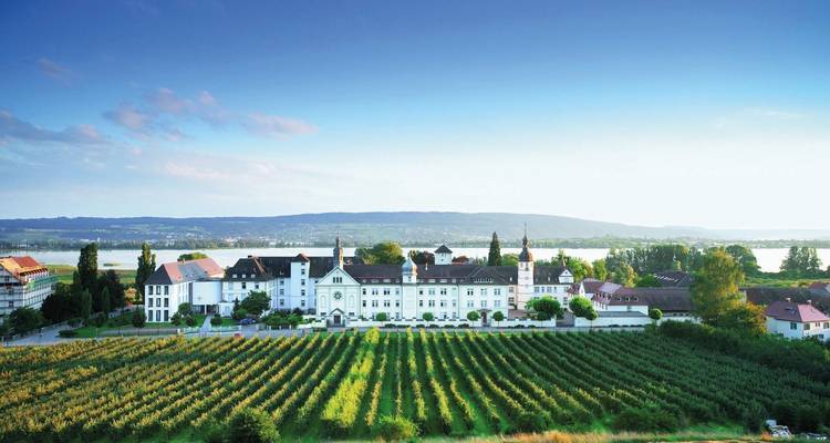 Wide view of a historic building surrounded by vineyards and hills.