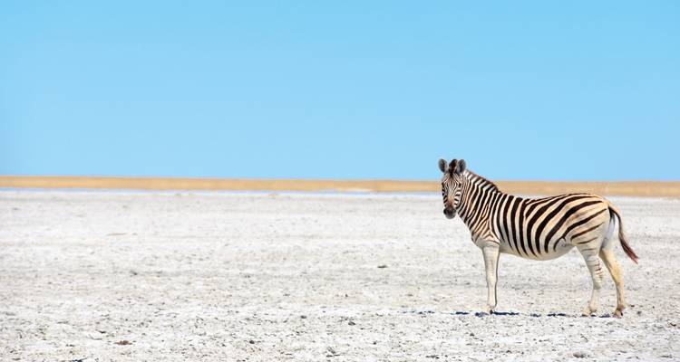 Afrique du Sud et Botswana : points forts avec les chutes Victoria - SKR Reisen 3