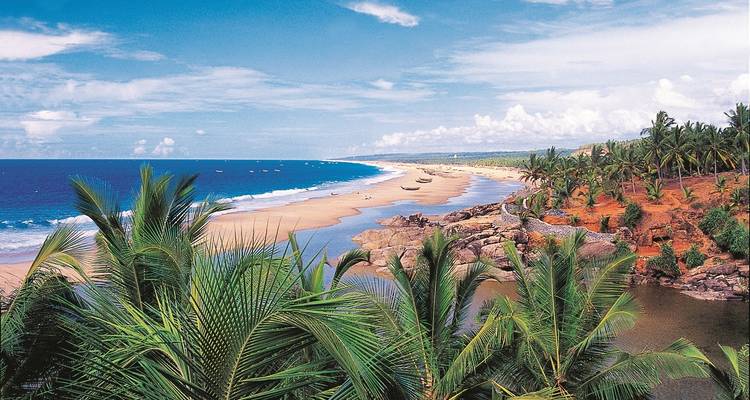Playa con palmeras y océano azul.