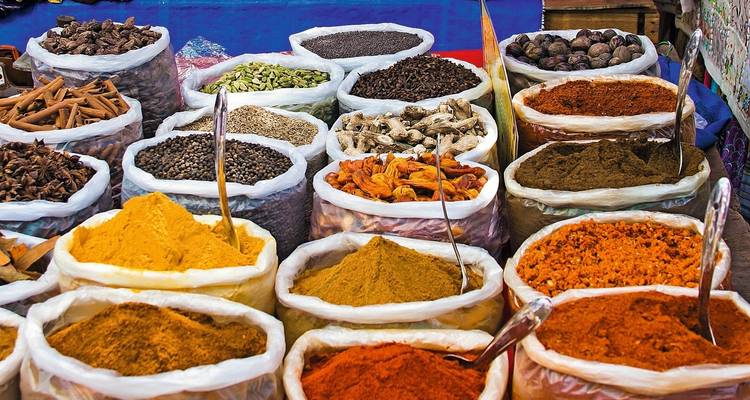 Inde : les points forts de l'Inde du Sud - SKR Reisen 10