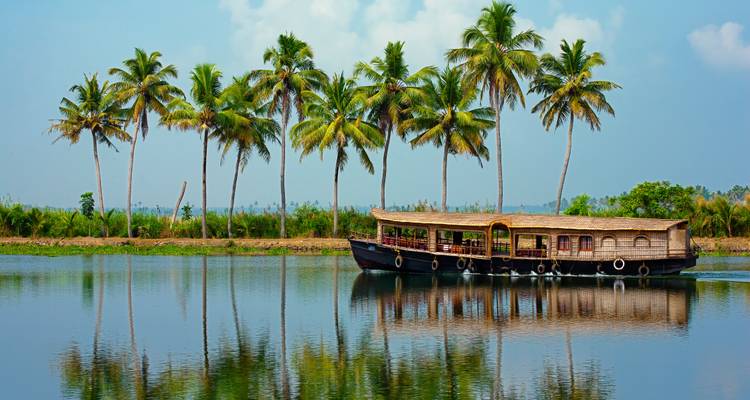Traditional wooden houseboat gliding on calm Kerala backwaters lined with palm trees.