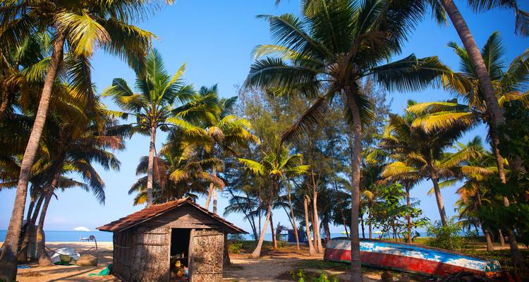 Rustic beach shack among coconut palms on a tropical shoreline.