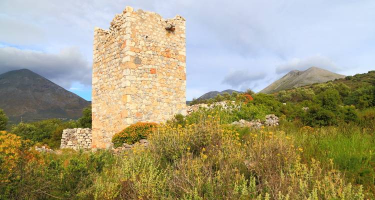Isolierte Steinturmruine inmitten von Wildblumen mit schroffen Bergen, die sich unter einem teilweise bewölkten Himmel erheben.